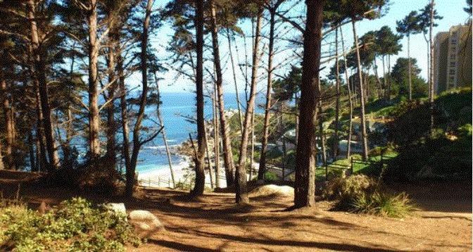 Departamento Algarrobo Condominio Laguna エクステリア 写真